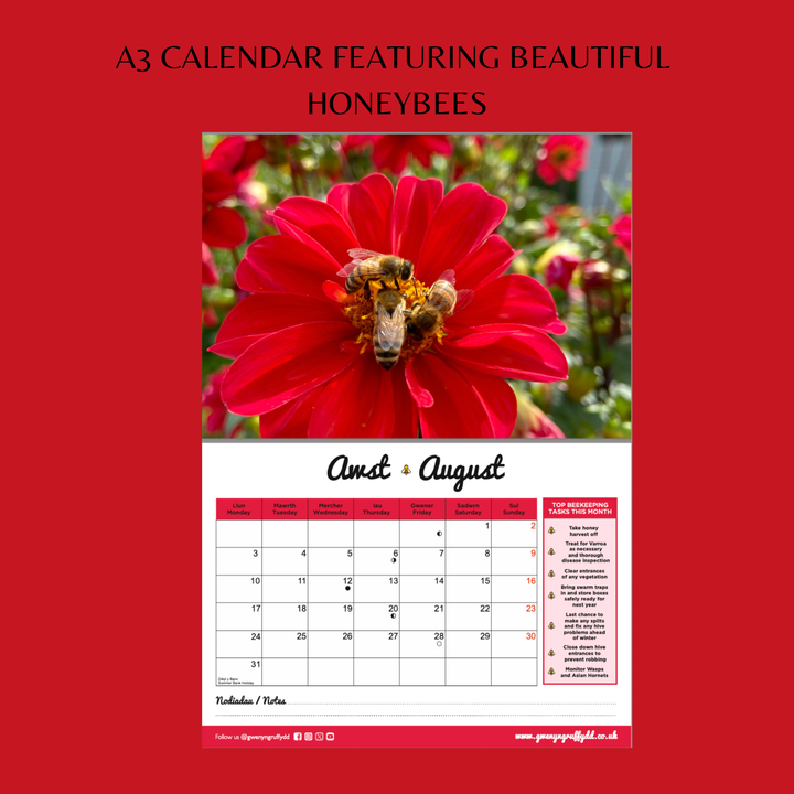 Beekeeping Calendar with Beekeeping Tasks - What To Do Month By Month 2026