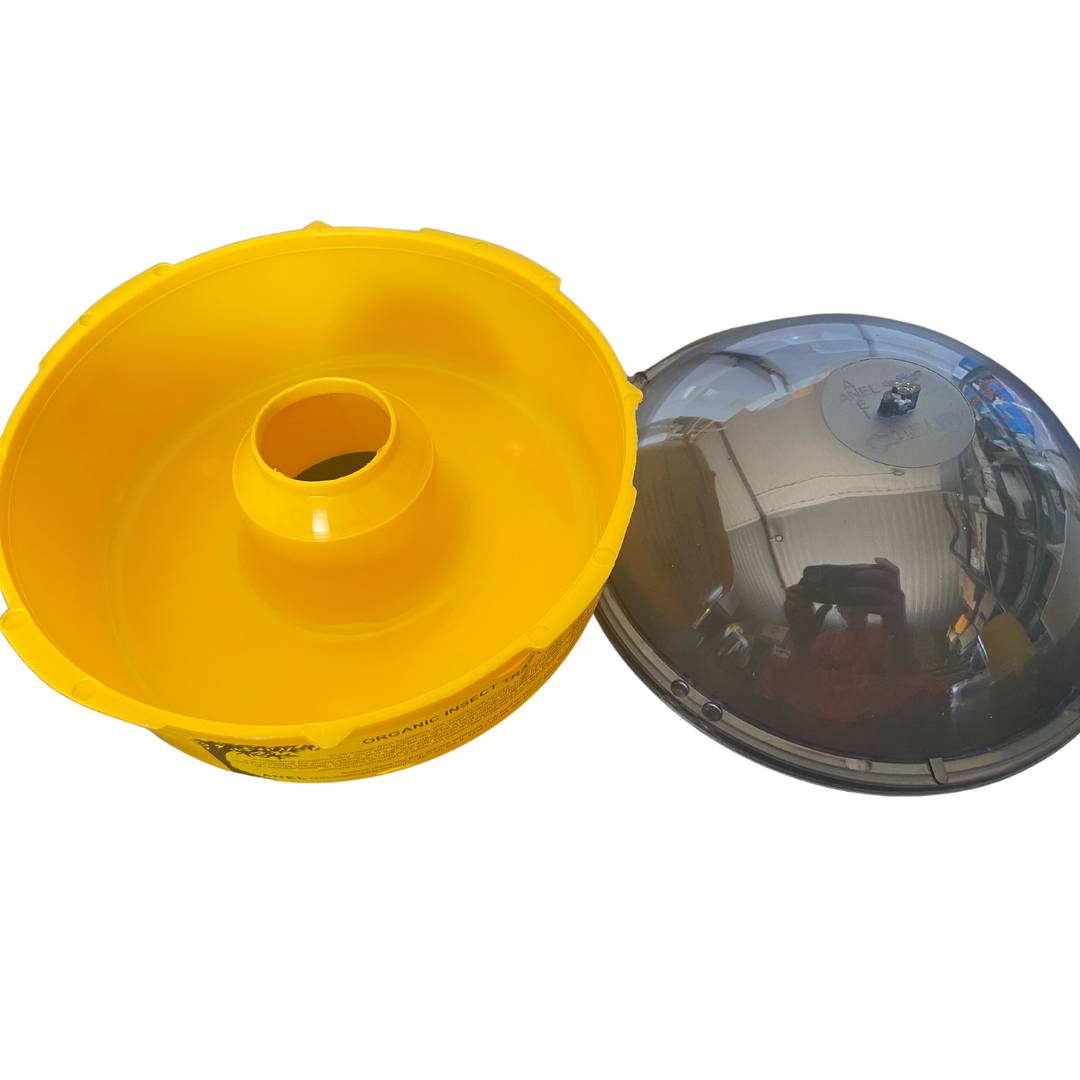 Dome Wasp and Asian Hornet Trap by Anel