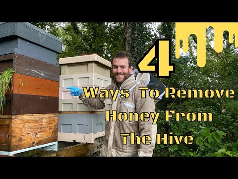 Watch: 4 Ways to Remove Honey Supers