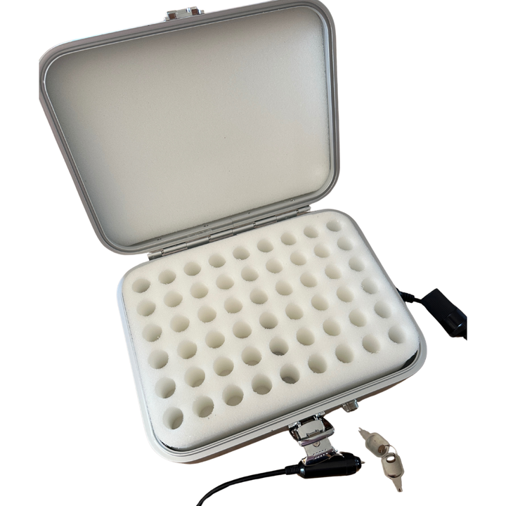 12V Portable Incubator For Queen Cells Transporter