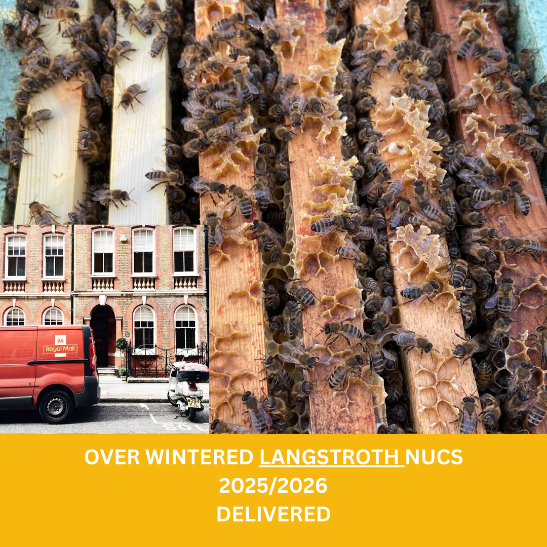 Buy Over Wintered Buckfast Bees Langstroth Flow Hive Nucleus Colonies -  Collected or Delivered