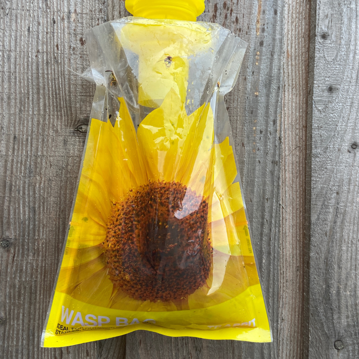 Asian Hornet Disposable Trap Bag