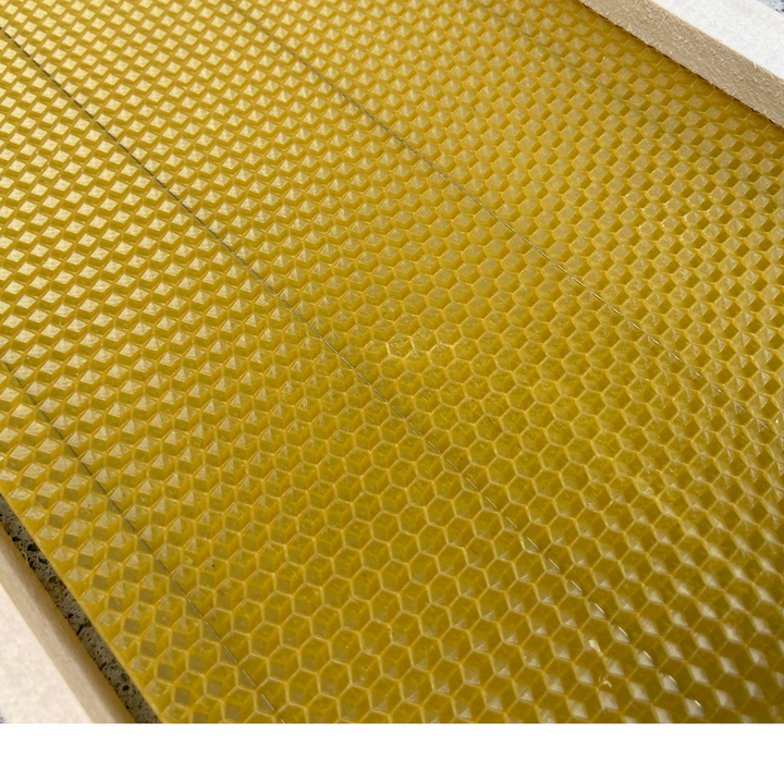 Fully Assembled National Deep Hoffman Frames with Wired Wax Foundation By Denrosa