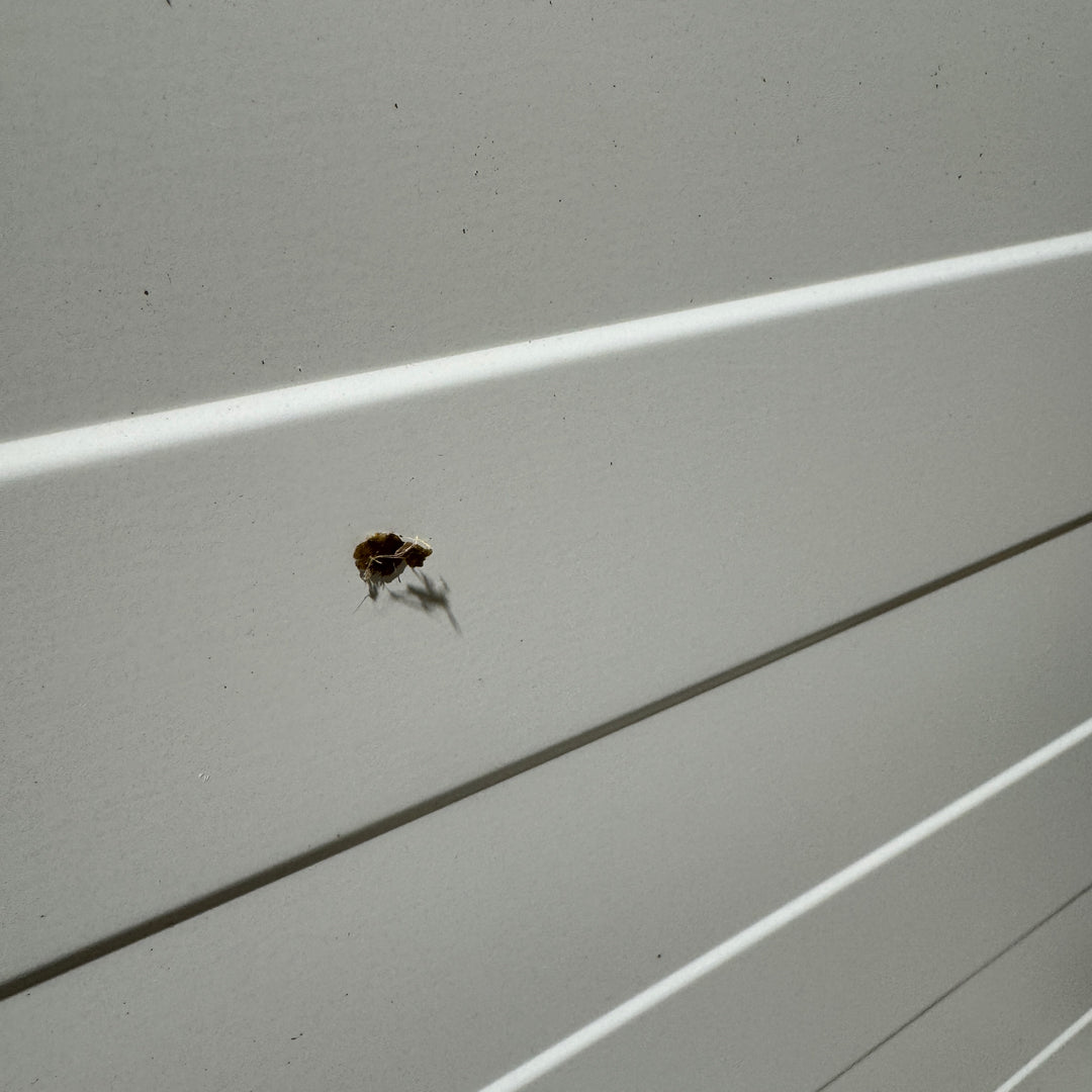 Lyson Warming Cabinet- Shop Soiled