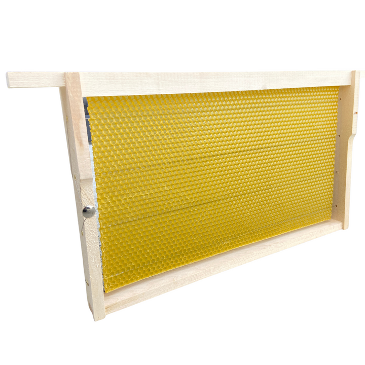 Fully Assembled National Deep Hoffman Frames with Wired Wax Foundation By Denrosa