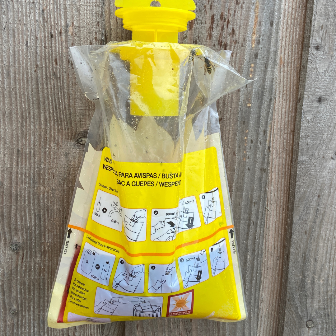 Wasp and Asian Hornet Trap Disposable Bag - Effective Outdoor Trap