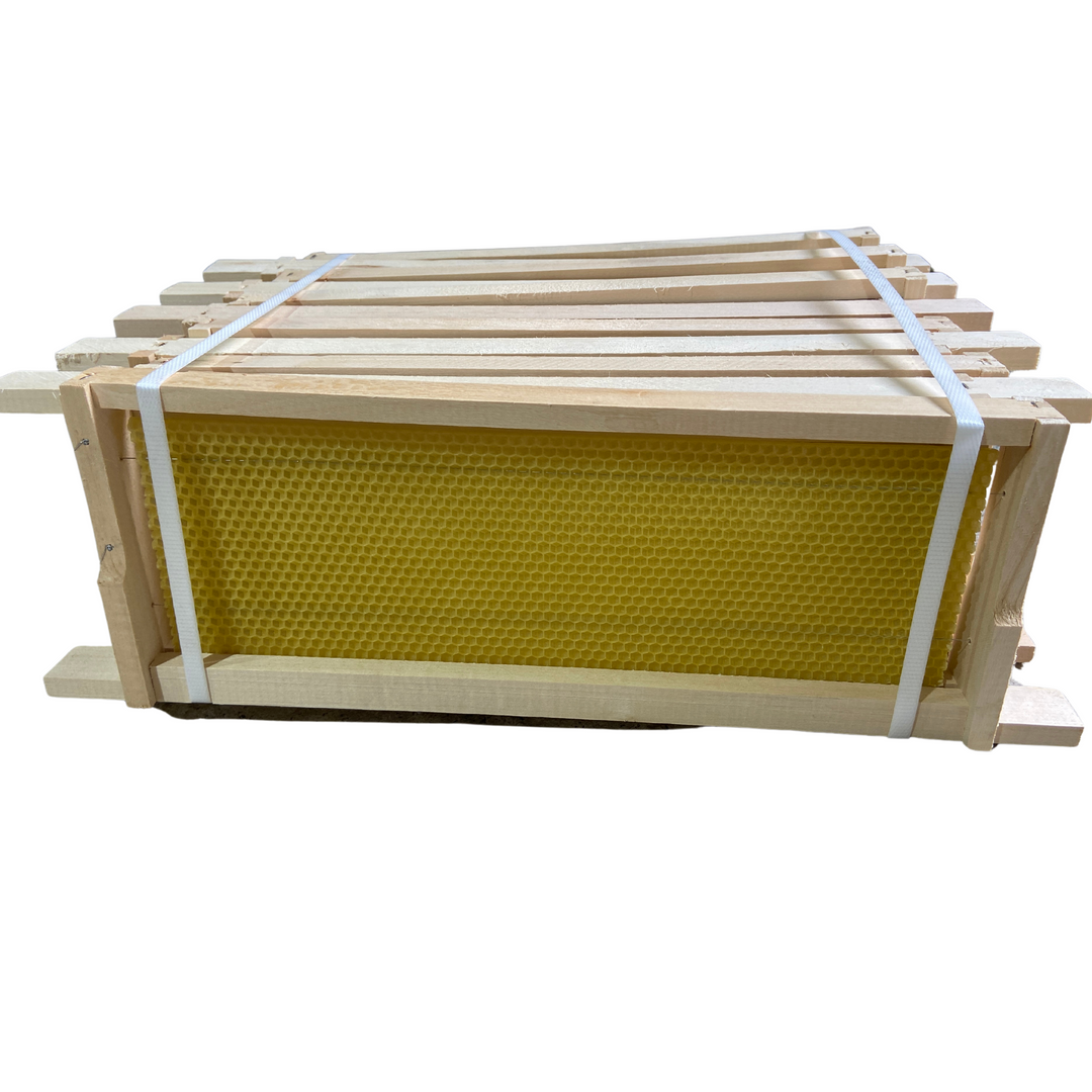 Fully Assembled National Shallow Hoffman Super Frames with Wired Wax Foundation by Denrosa