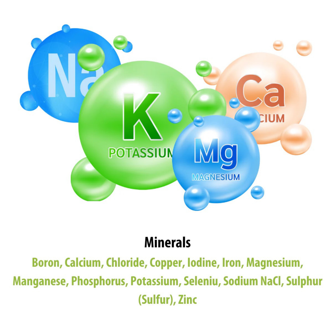 1kg HiveAlive Max Protein Patty With Pollen - Bee Feed Supplement