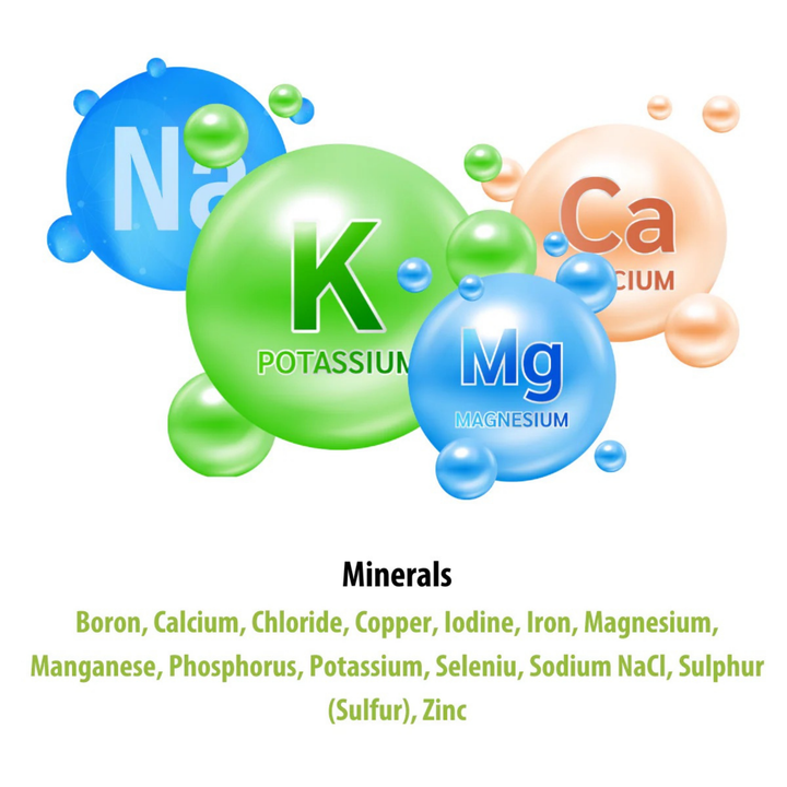 1kg HiveAlive Max Protein Patty With Pollen - Bee Feed Supplement