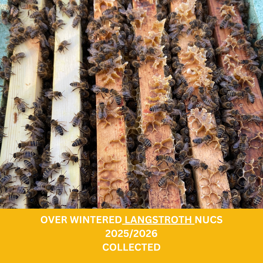 Buy Over Wintered Buckfast Bees Langstroth Flow Hive Nucleus Colonies -  Collected or Delivered