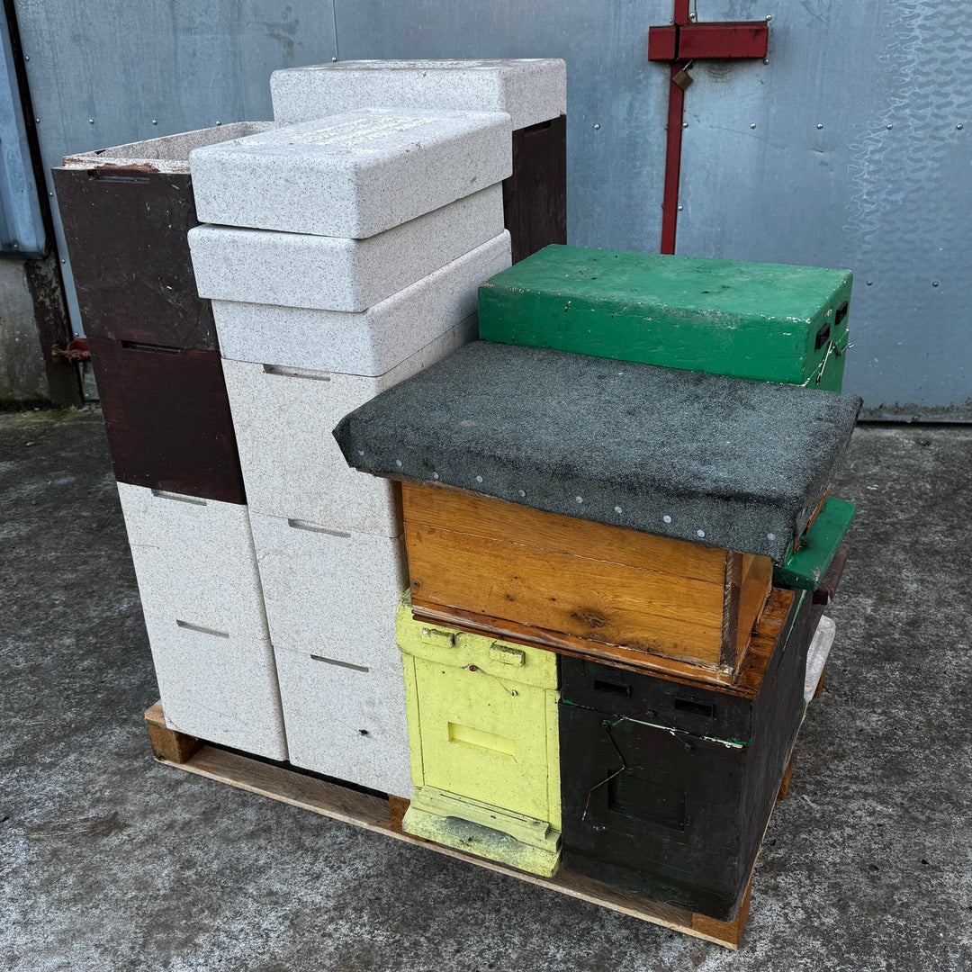 Job-lot of Mixed-Condition Commercial Poly Nuc Boxes - Used