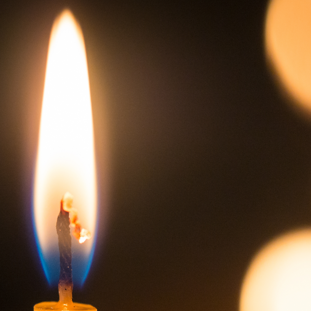 Beeswax Tall Large Christmas Tree Shaped Candle 20cm