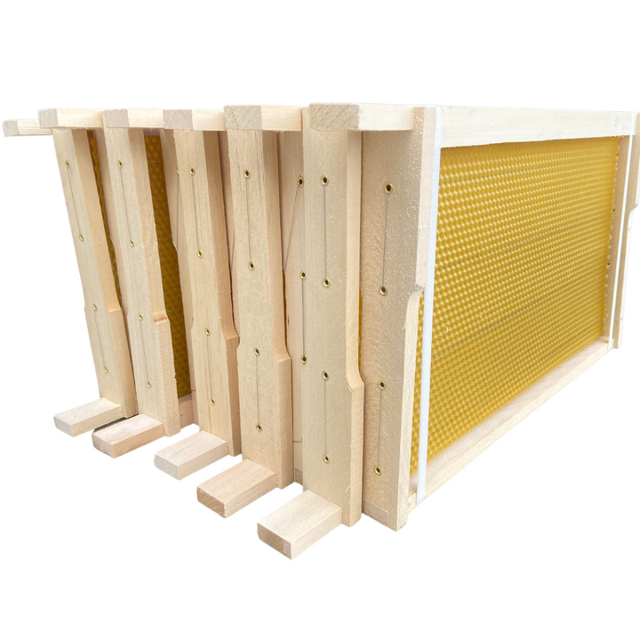 Fully Assembled National Deep Hoffman Frames with Wired Wax Foundation By Denrosa