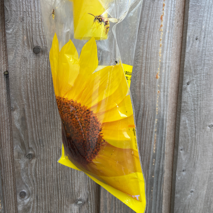 Wasp and Asian Hornet Trap Disposable Bag - Effective Outdoor Trap