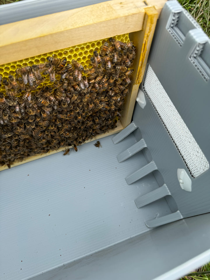 Buy Over Wintered Buckfast Bees Langstroth Flow Hive Nucleus Colonies -  Collected or Delivered