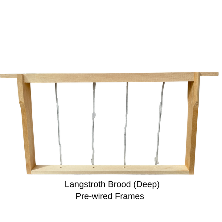 Pre-Wired Langstroth Deep ( Brood)  Frames - 10 Pack