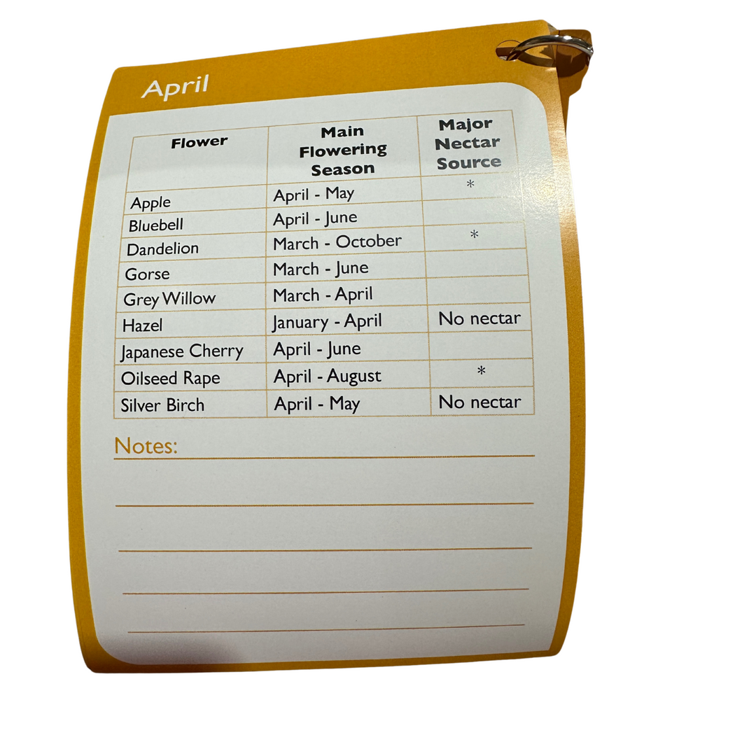 Pollen Identification Cards ID By Kirk