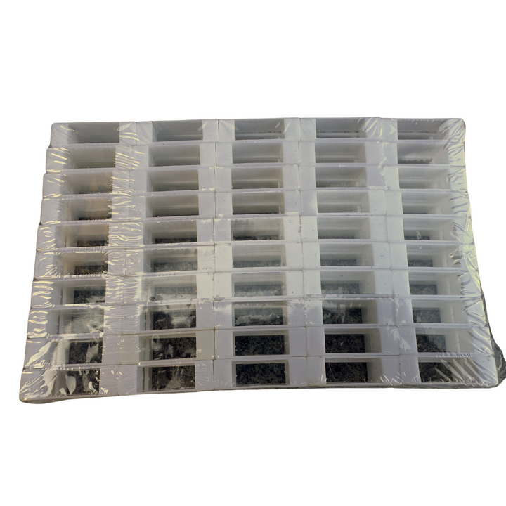 Plastic Narrow End Frame Spacers - All Colours