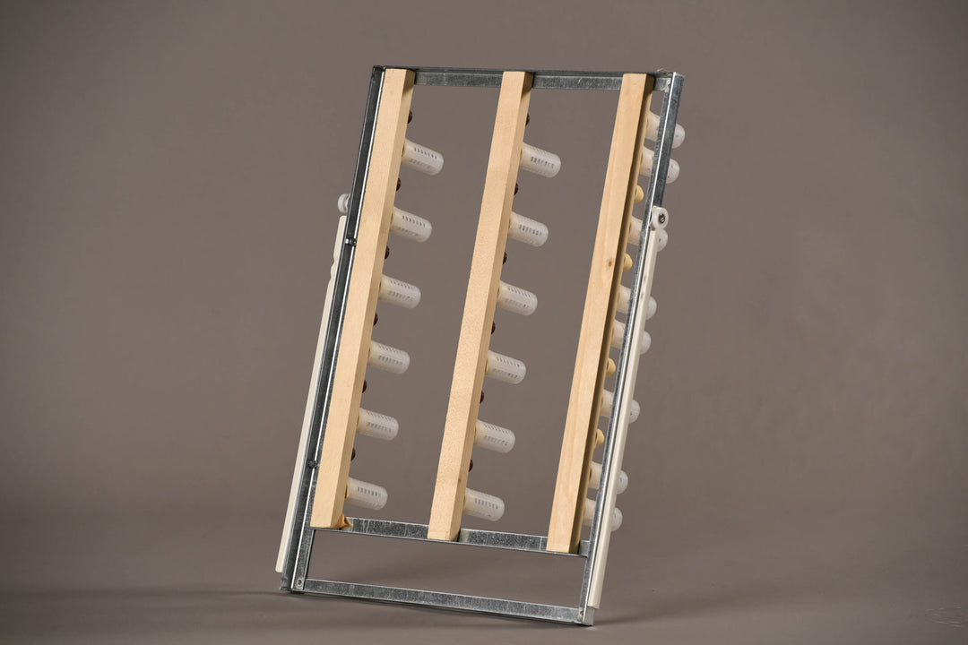 FIEM A100 ML Queen Bee Incubator