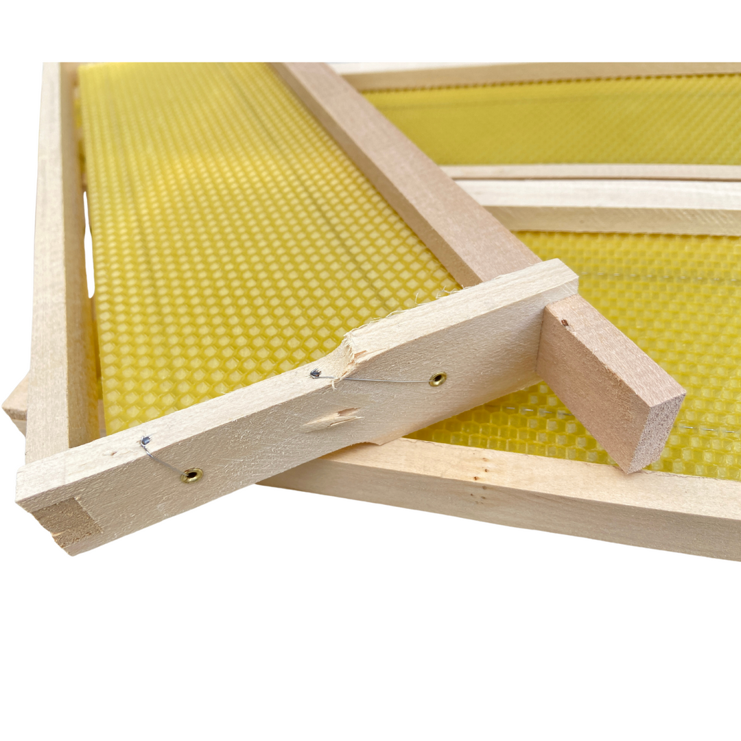 Fully Assembled National Shallow Hoffman Super Frames with Wired Wax Foundation by Denrosa