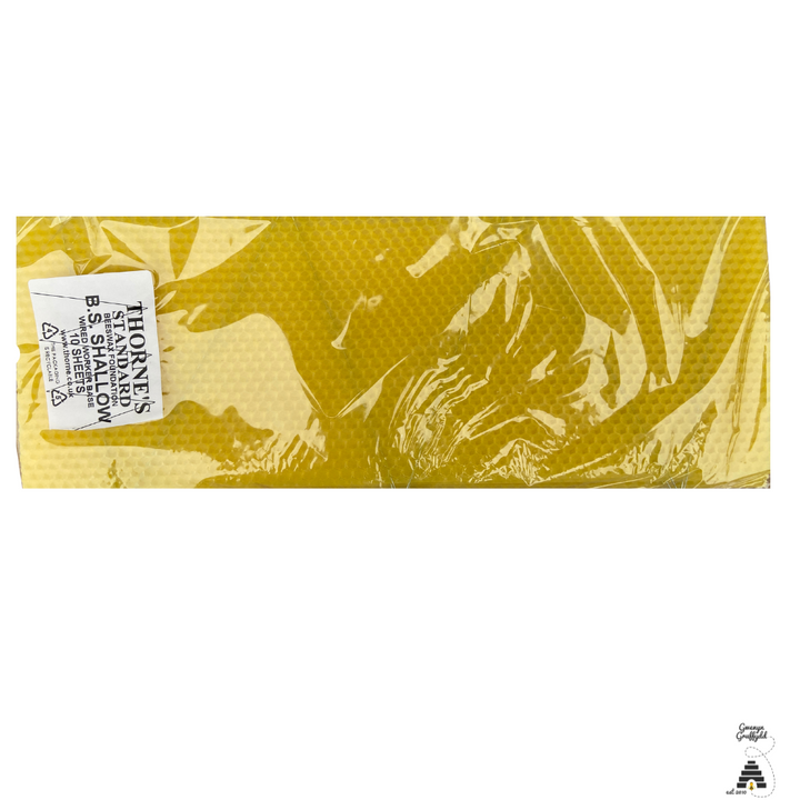 Thorne B.S. Shallow Wired Worker Foundation Standard - Pack of 10