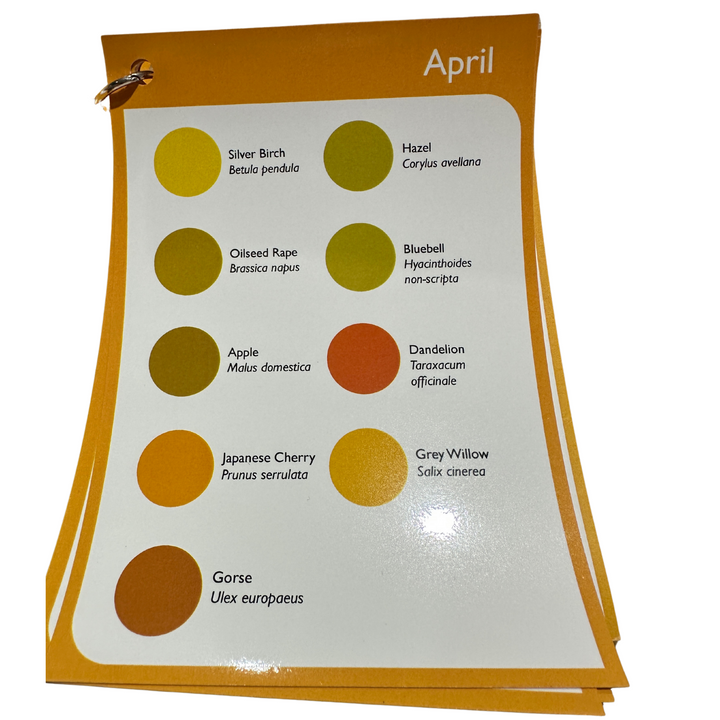Pollen Identification Cards ID By Kirk
