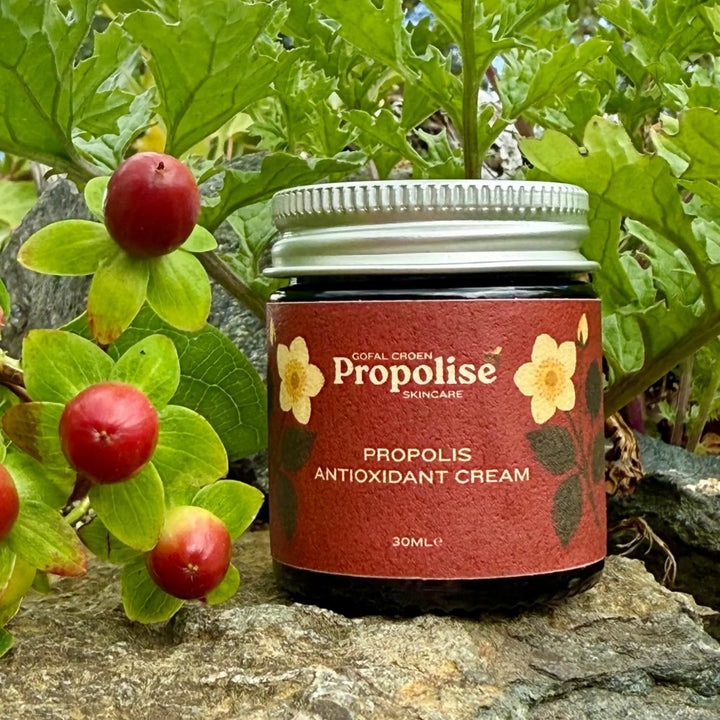 100% Natural Propolis Antioxidant Cream - Propolise 30ml