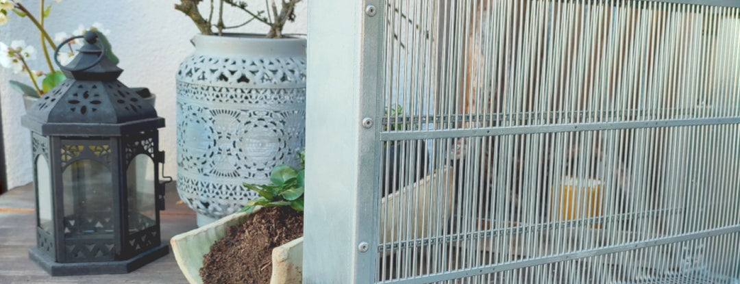 Bientec Two-Frame Queen Introduction &amp; Isolation Cage – Langstroth