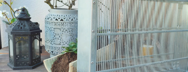 Bientec Two-Frame Queen Introduction &amp; Isolation Cage – Langstroth