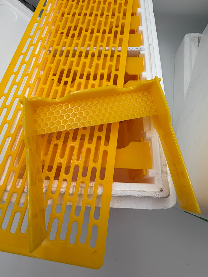 Double Decker Poly Queen Rearing Nuc Box – 2 Layer, 16 Frame with Feeder &amp; Excluder
