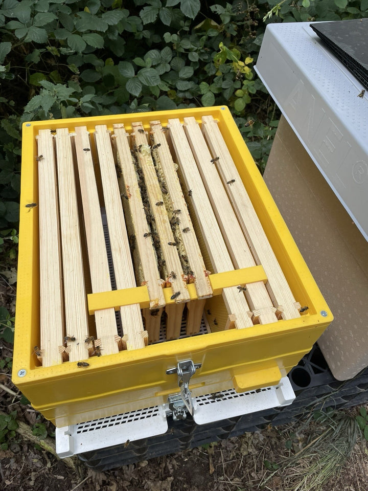 National to Langstroth Frame Adapter Converter Bracket – 1 / 2 / 3 Frame Options