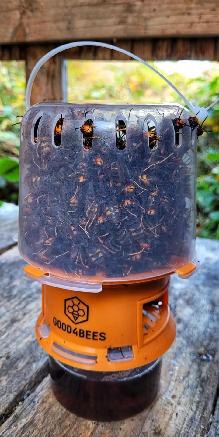 GOOD4BEES Selective Asian Hornet Trap – Bee-Safe Vespa Velutina Trap