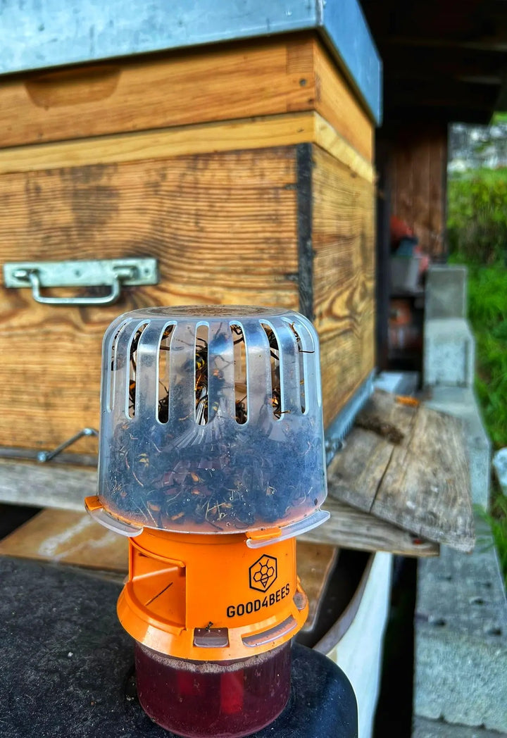 GOOD4BEES Selective Asian Hornet Trap – Bee-Safe Vespa Velutina Trap