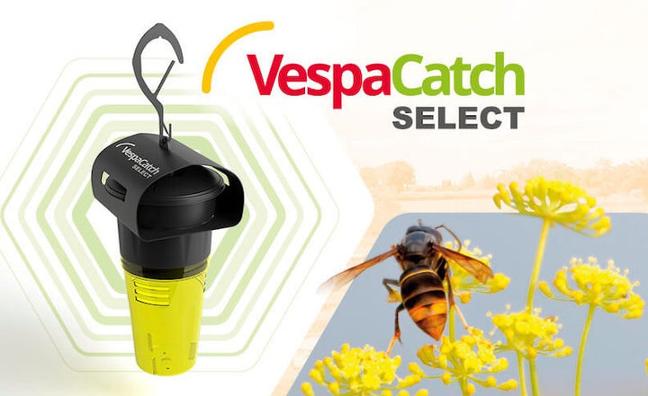 VespaCatch Select Asian Hornet Trap Vespa Catch (Adjustable &amp; Selective) | Trap Only or With Lures