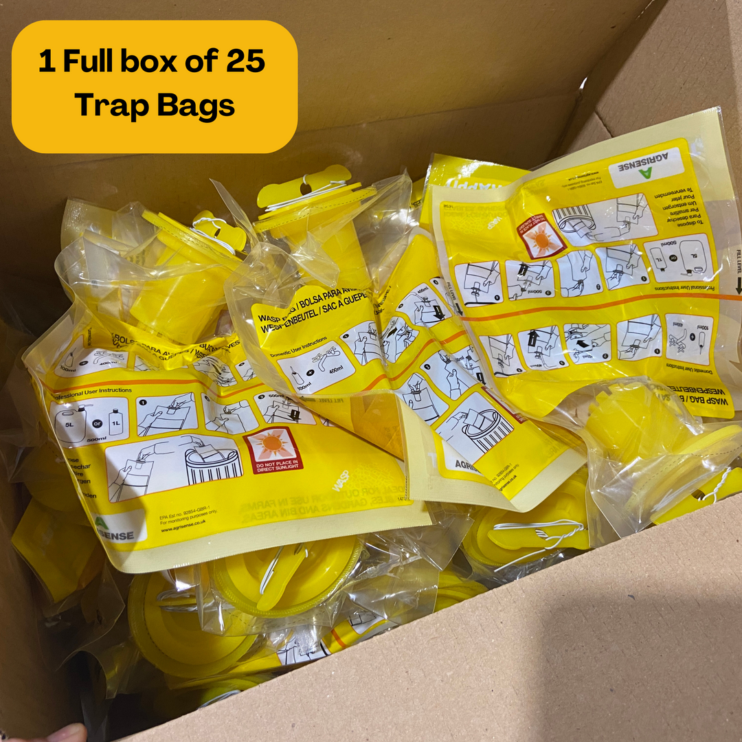 Wasp and Asian Hornet Trap Disposable Bag - Effective Outdoor Trap