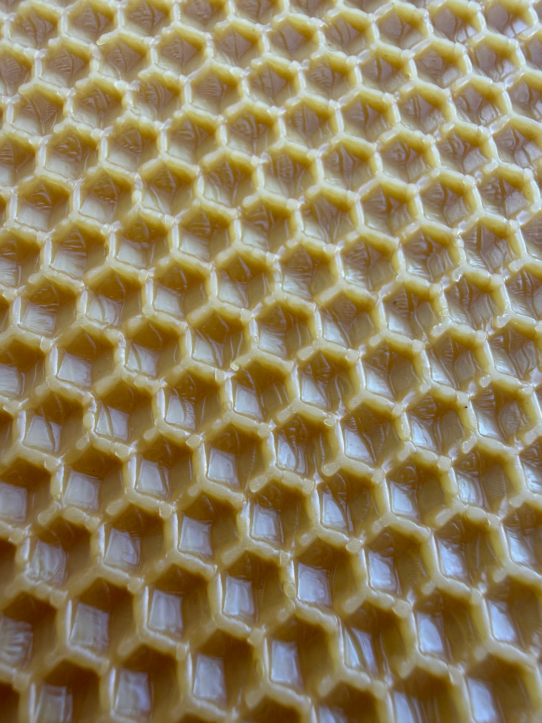 National Brood Wax Foundation Sheets