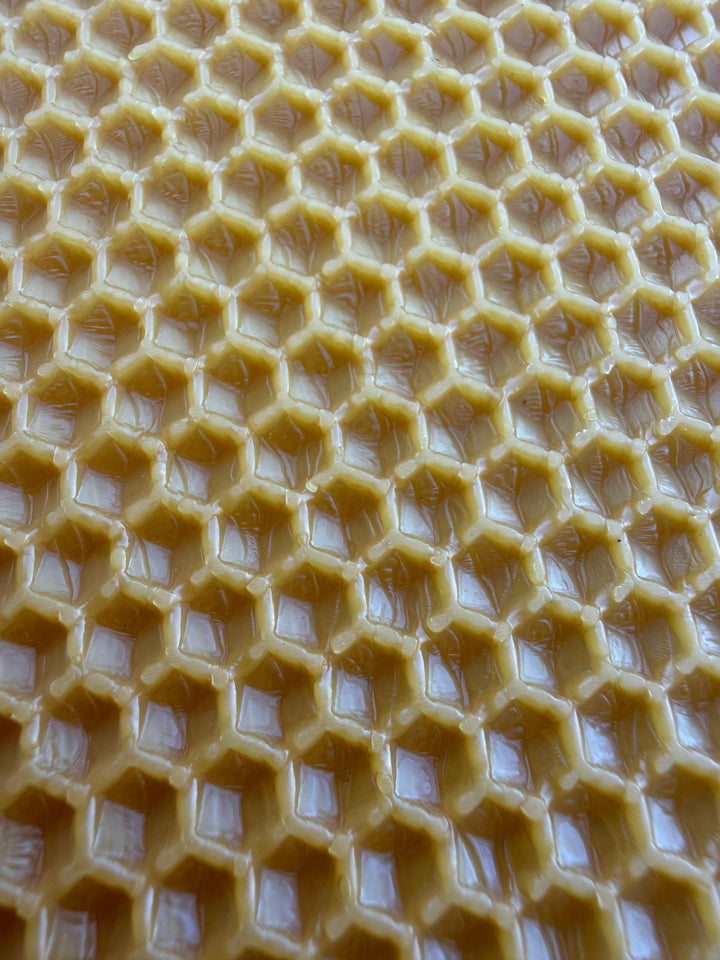 National Brood Wax Foundation Sheets
