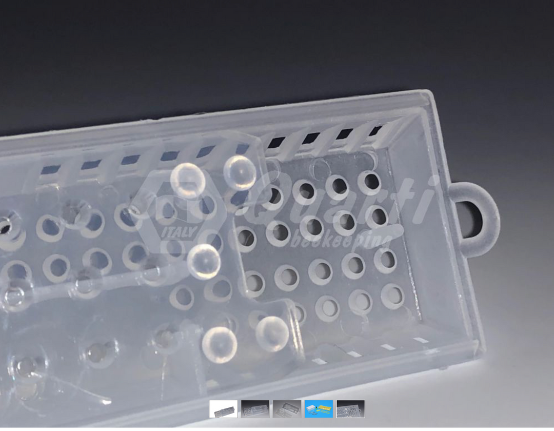 Quarti Plastic Queen Bee Cage Shipping & introduction - Double Exit