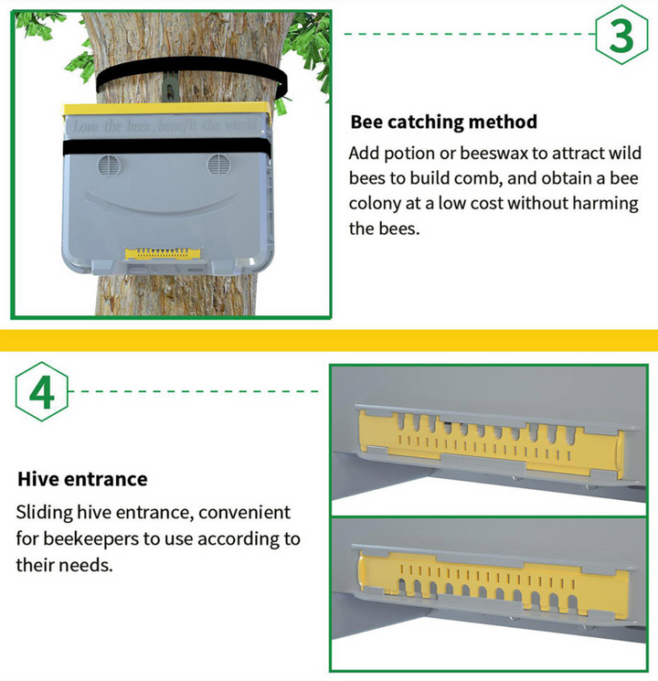 bait hive swarm trap mounted in tree