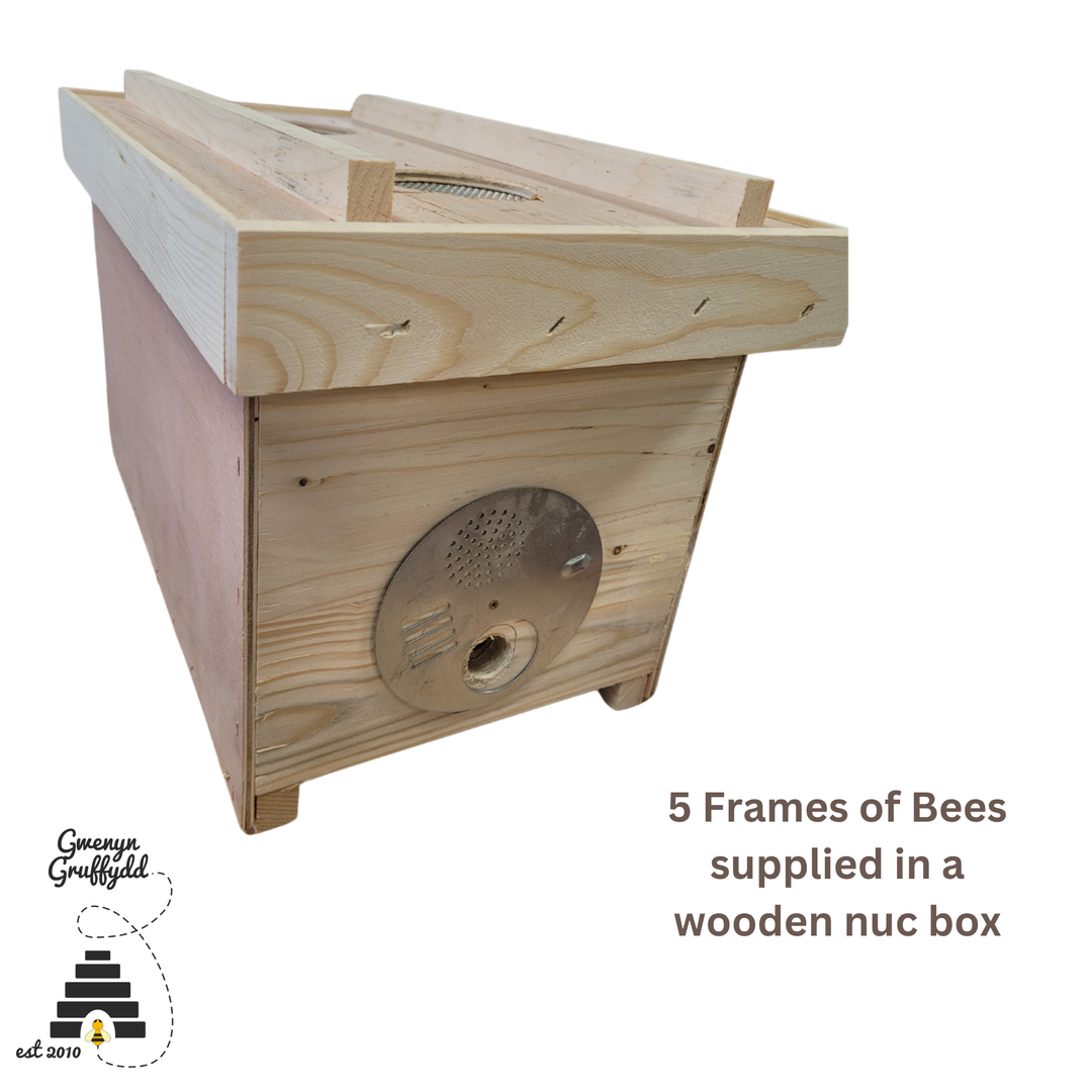 Wooden five-frame National nucleus hive box with entrance and ventilated roof
