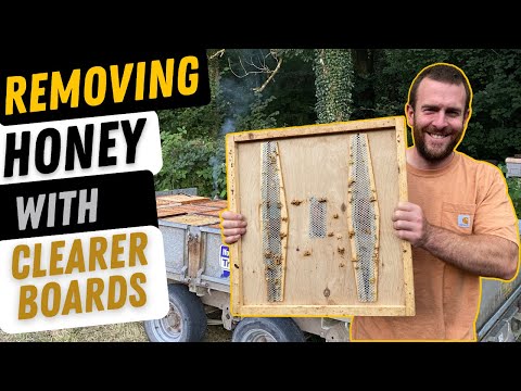 Watch: Using Clearer Boards