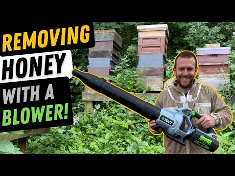 Watch: Using a Blower to Clear Honey Supers