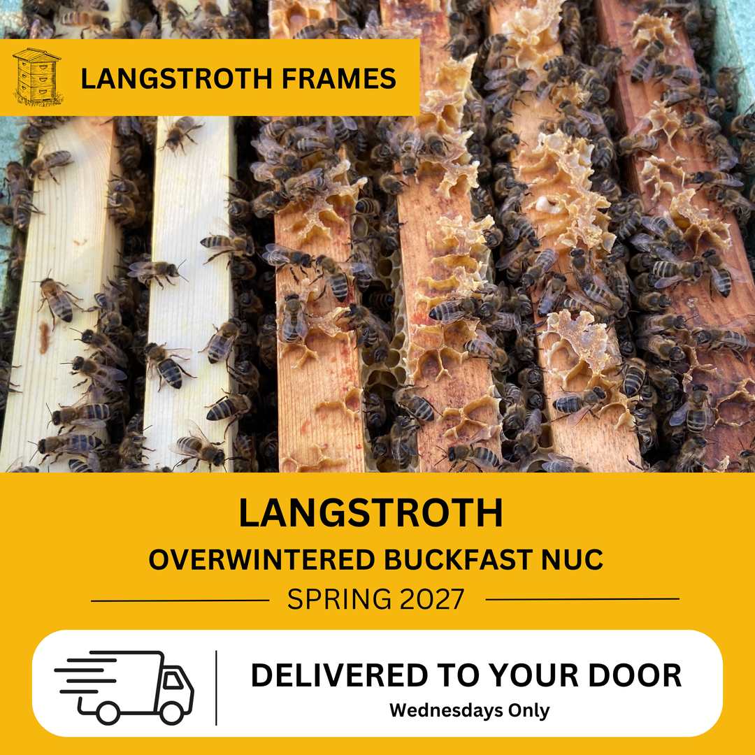 Overwintered Buckfast Langstroth nuc prepared for live bee delivery