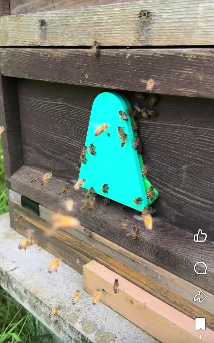 HiveGuard Beehive Entrance – Wasp &amp; Asian Hornet Defence