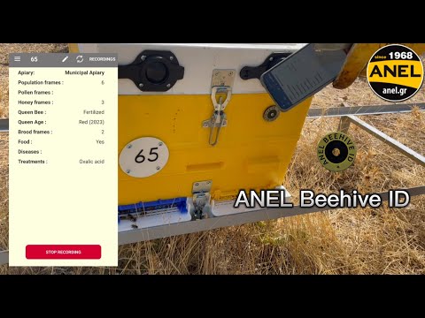 Bee Beehive ID Record Keeping App Chip for Beehives By Anel