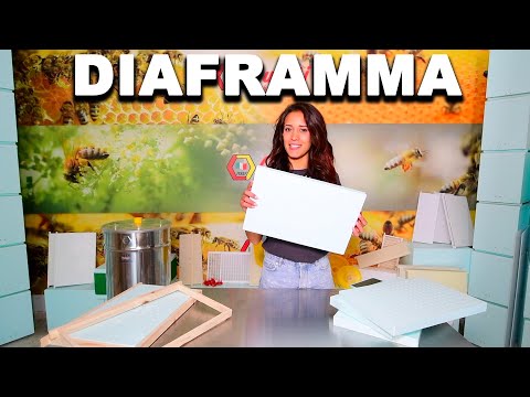 High-Density Quarti Polystyrene Partition – Langstroth Hive Divider