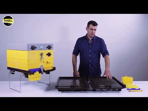 Langstroth Plastic Beehive Floor - Anti Varroa Ventilated by Anel