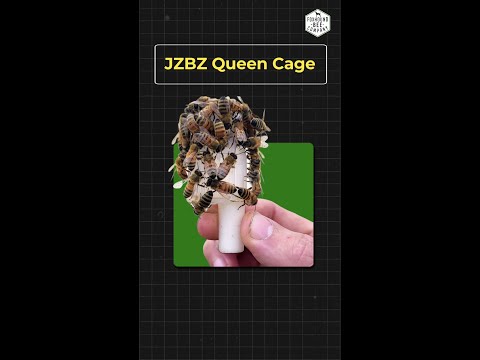 Genuine JZBZ Queen Cages for Queen Rearing &amp; Introduction – Original USA Made