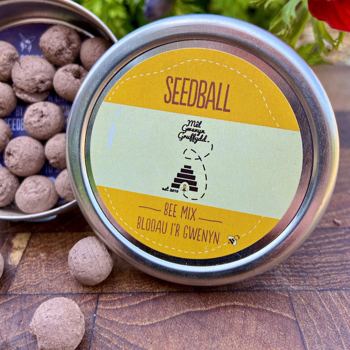 Bee Mix Wildflower Seedballs Tin | Cymysedd o Hadau Blodau Gwyllt i'r Gwenyn