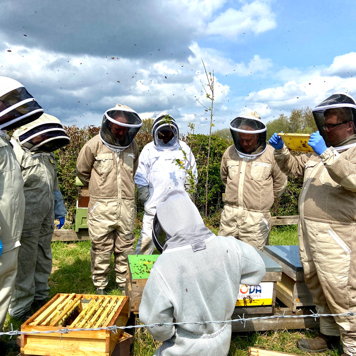 One Day Beekeeping Training for Beginners 2026
